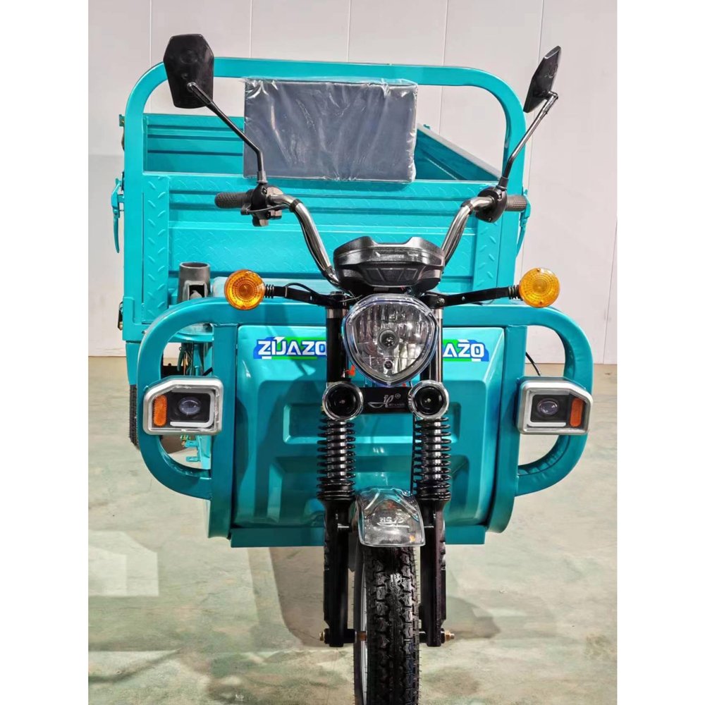 Electric Tricycle with Automatic Hydraulic System Powerful 1000W Big Tire Electric Cargo
