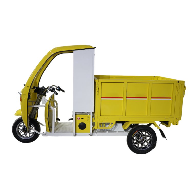 QSD Wholesale High Quality 3 Wheel Heavy Cabin Loading Large Cabin Electric Type Cargo For Farm Vegetable Transport