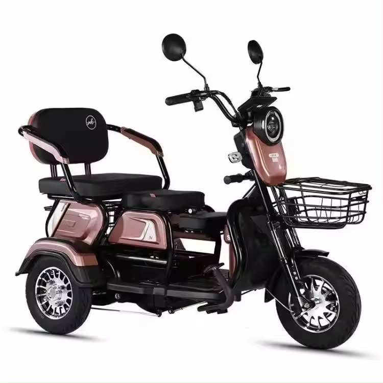 Wholesale 14 Inch Electric Cargo Tricycle Motorcycle 600W 48V E-Bike 3 Wheels Electric Bike