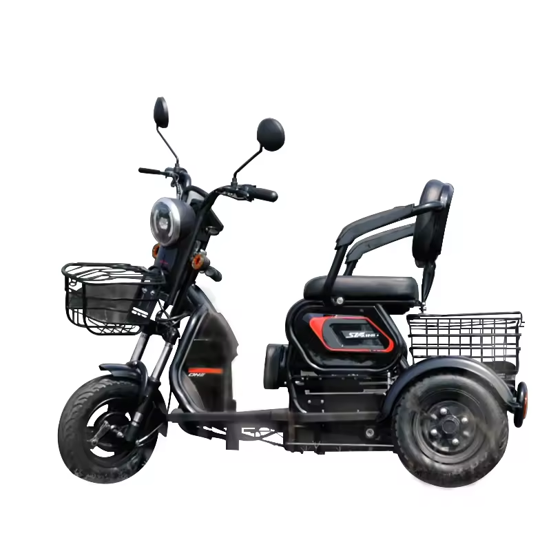 Wholesale 14 Inch Electric Cargo Tricycle Motorcycle 600W 48V E-Bike 3 Wheels Electric Bike
