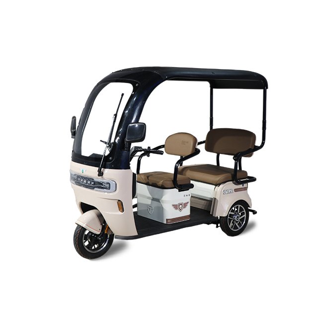 QSD Popular 500W Green Energy Electric Tricycle 48V 3-Wheel Double Rear Drum Brake Steel Roof Open E Trike
