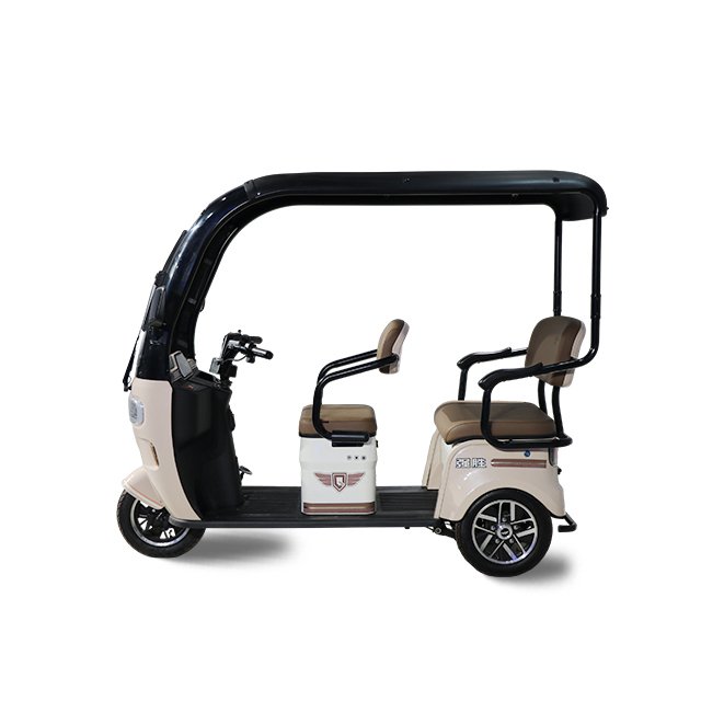 QSD Popular 500W Green Energy Electric Tricycle 48V 3-Wheel Double Rear Drum Brake Steel Roof Open E Trike