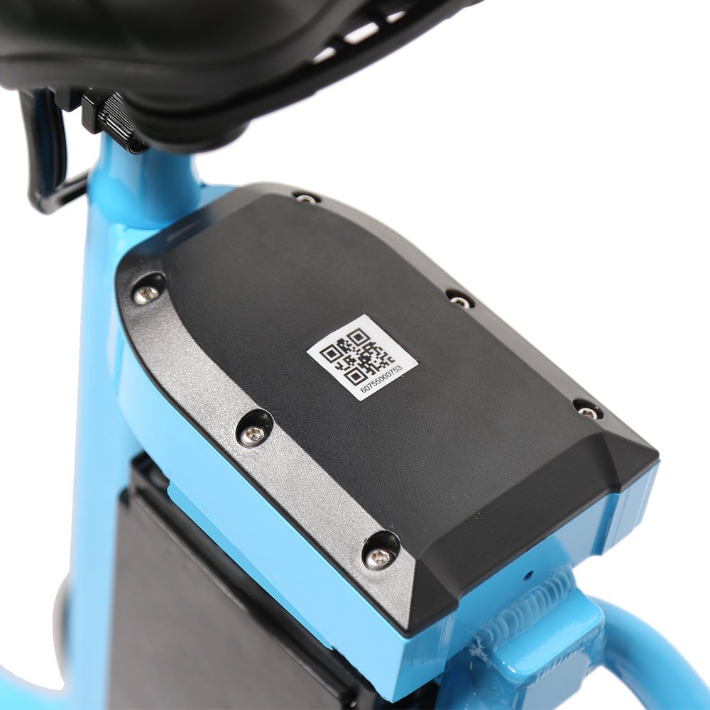 TXED 250W 36V Front Basket Popular Sharing Electric Bike With 36V/15.6AH Lithium Battery