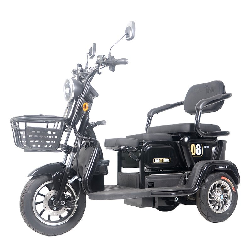 Lead Acid Rainproof Three Wheels Electric Scooters with Canopy Electric Tricycle E Bike for Sale