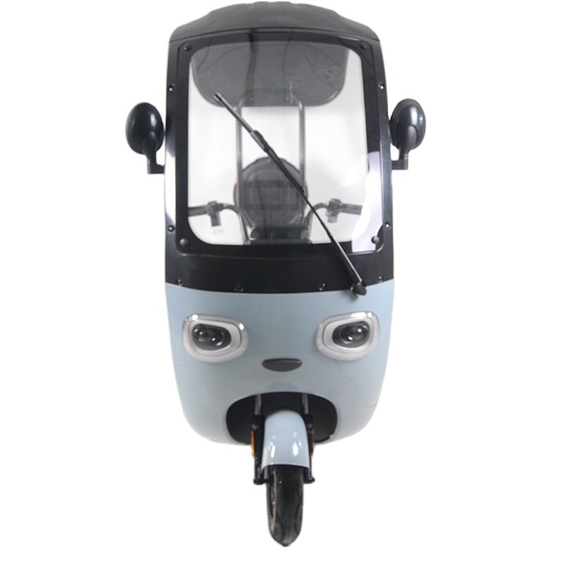 Lead Acid Rainproof Three Wheels Electric Scooters with Canopy Electric Tricycle E Bike for Sale