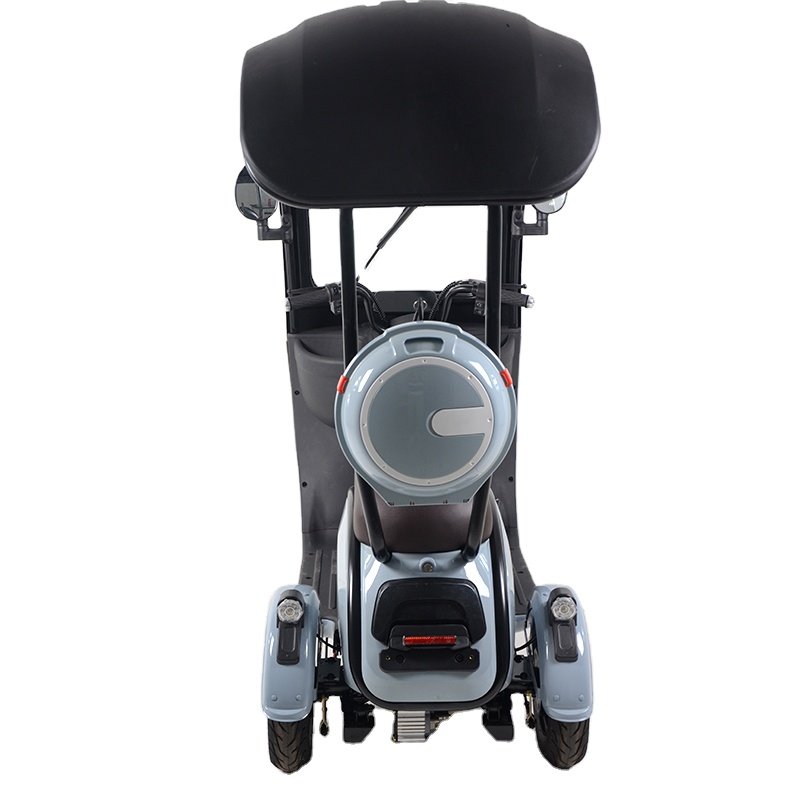 Lead Acid Rainproof Three Wheels Electric Scooters with Canopy Electric Tricycle E Bike for Sale