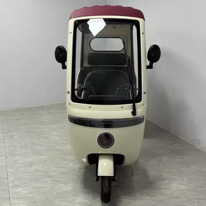 3 Wheel Mini Leisure Electric Tricycle and Cheap Electric Tricycle