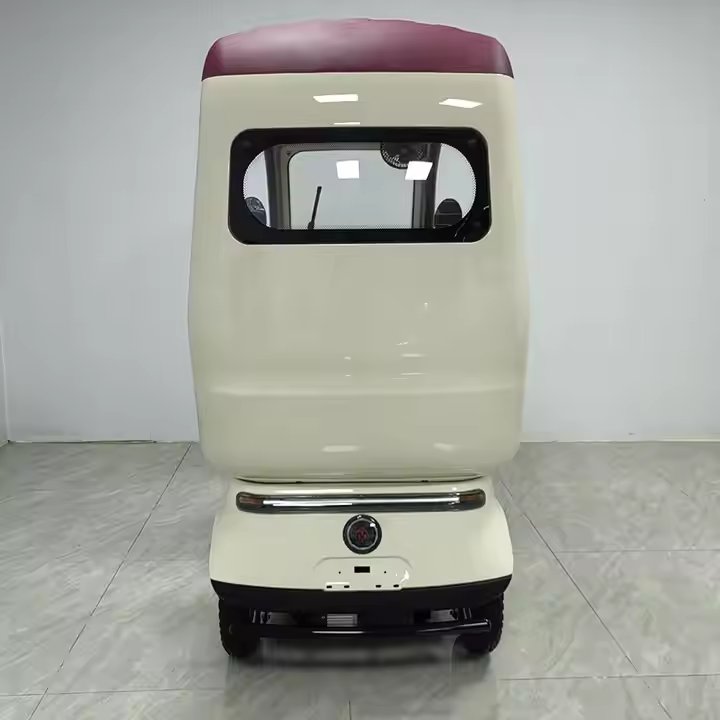 3 Wheel Mini Leisure Electric Tricycle and Cheap Electric Tricycle