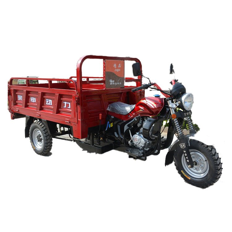 Gasoline Three-wheeled Motorcycle 110cc air Cooling Cargo Gas Tricycle