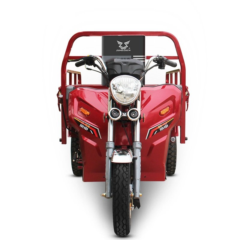 Gasoline Three-wheeled Motorcycle 110cc air Cooling Cargo Gas Tricycle