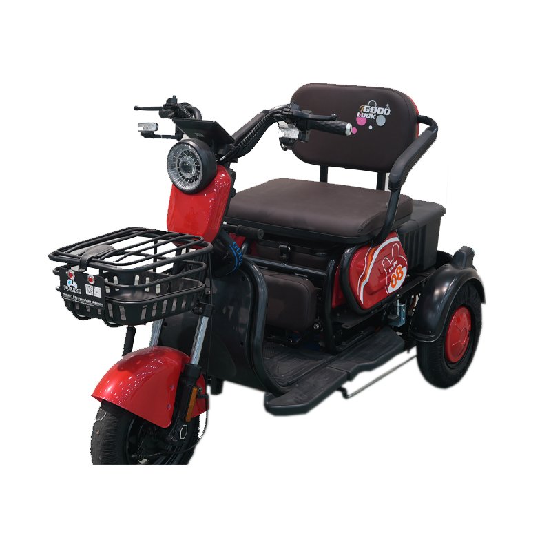 FULIKE Custom 3 Wheel Electric Scooter Electric Mobility Scooter