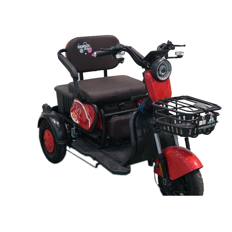 FULIKE Custom 3 Wheel Electric Scooter Electric Mobility Scooter