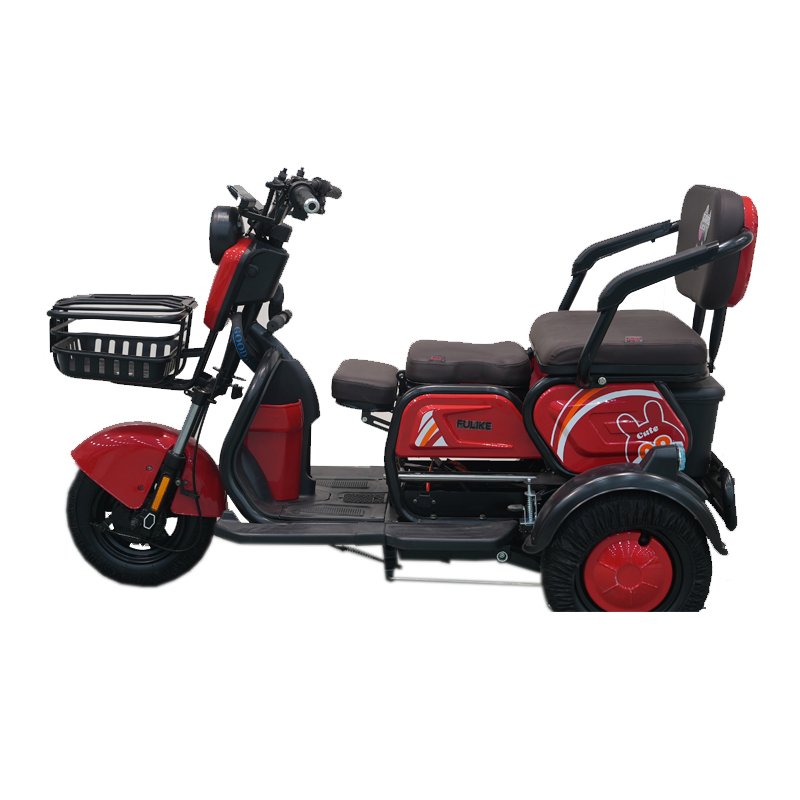 FULIKE Custom 3 Wheel Electric Scooter Electric Mobility Scooter