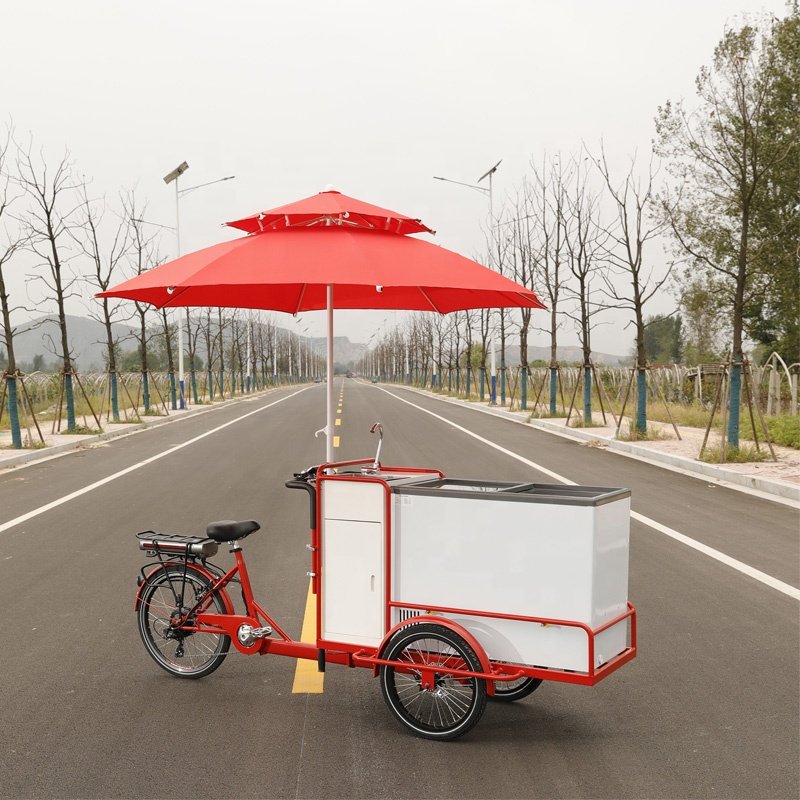 3 Wheel Ice Cream Cargo Bike, Electric Ice Cream Cart Electric Tricycle Ice Cream Bicycle for Sale