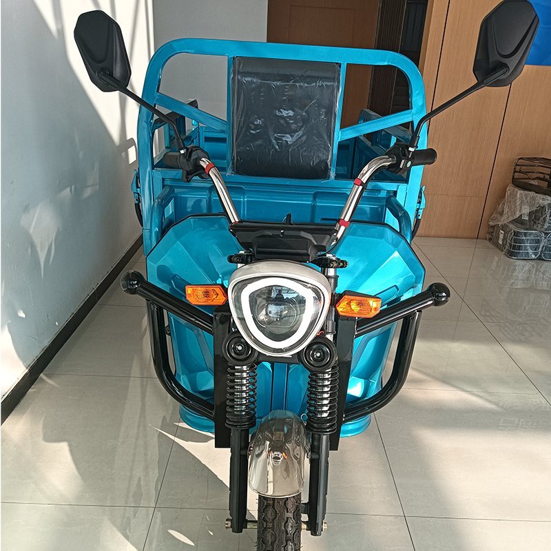 2024 New 3 Wheel Electric Trike Electric Cargo Tricycle 3 Wheel Electric Bike for Sale