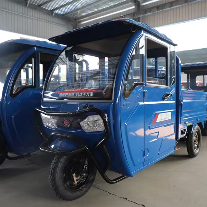 High Quality Wholesales Semi-enclosed Warwolf Electric Cargo Tricycle Truck 48V 800W 42H Small 3 Wheel Pickup Truck for Adults