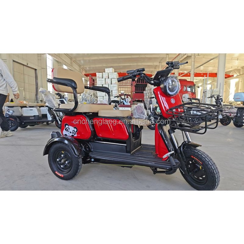 Foldable Fast Europe Adult 600w 800w 1000w Motor Battery Powered Electric Bike Motorcycle Tricycle with 2 Seats