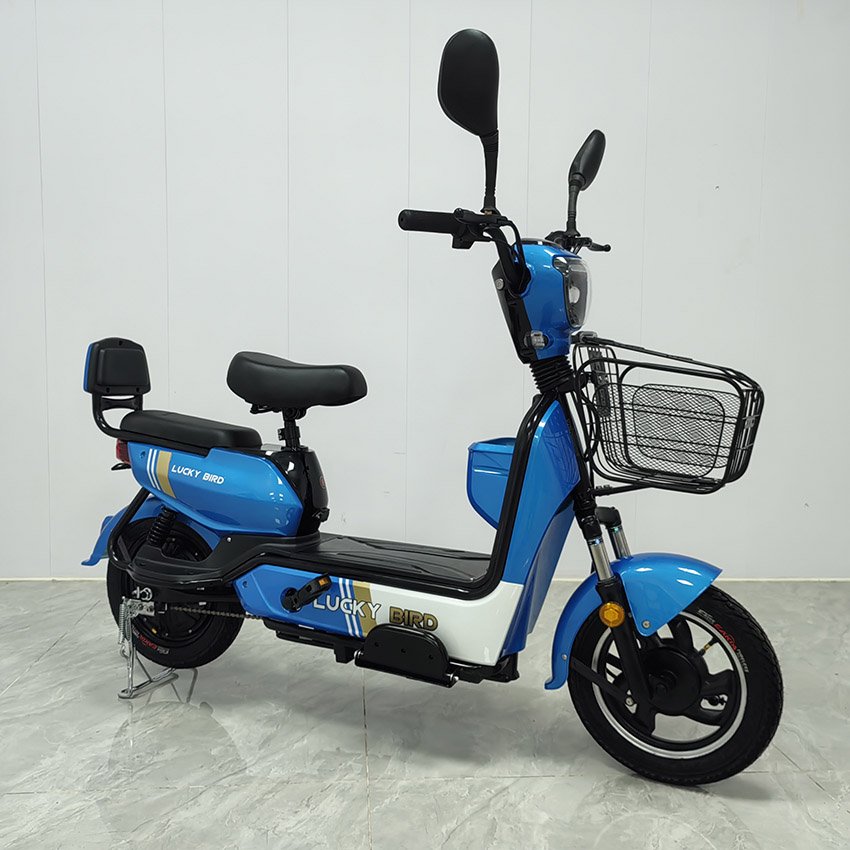 Factory Hot Sale With Rear Trunk Can Put Things in the Electric Bike Blue Bike Can Be Two Adult Electric Bike