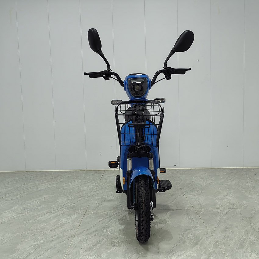 Factory Hot Sale With Rear Trunk Can Put Things in the Electric Bike Blue Bike Can Be Two Adult Electric Bike