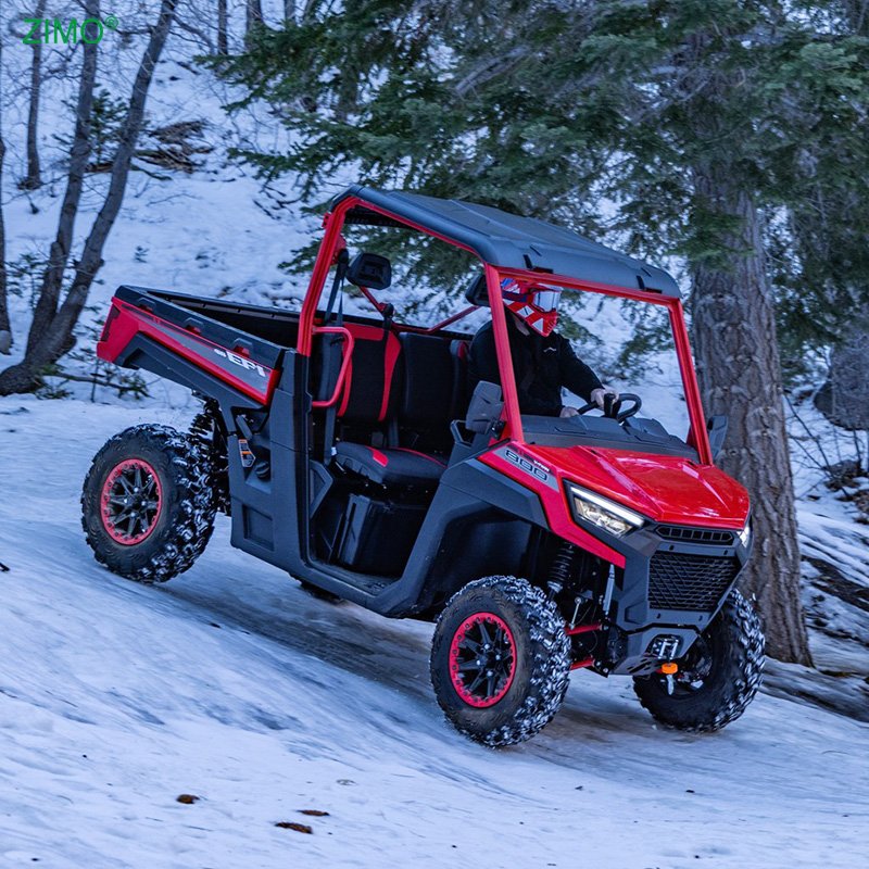 Gasoline 650cc 800cc 1000cc Side by Side Aodes UTV
