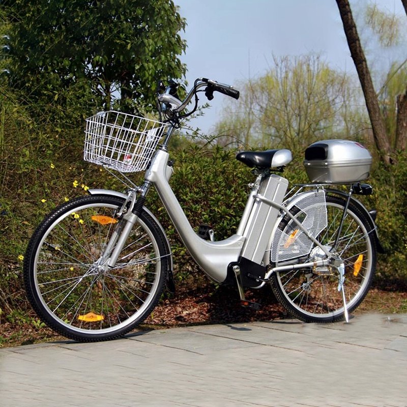 Raiderebikes Electric Bicycle 250w Electric Dirt City Bike for Adult E Bikes Electric Bicycle Electric Cargo Bike for Adult