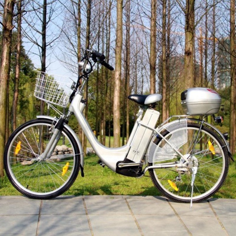 Raiderebikes Electric Bicycle 250w Electric Dirt City Bike for Adult E Bikes Electric Bicycle Electric Cargo Bike for Adult