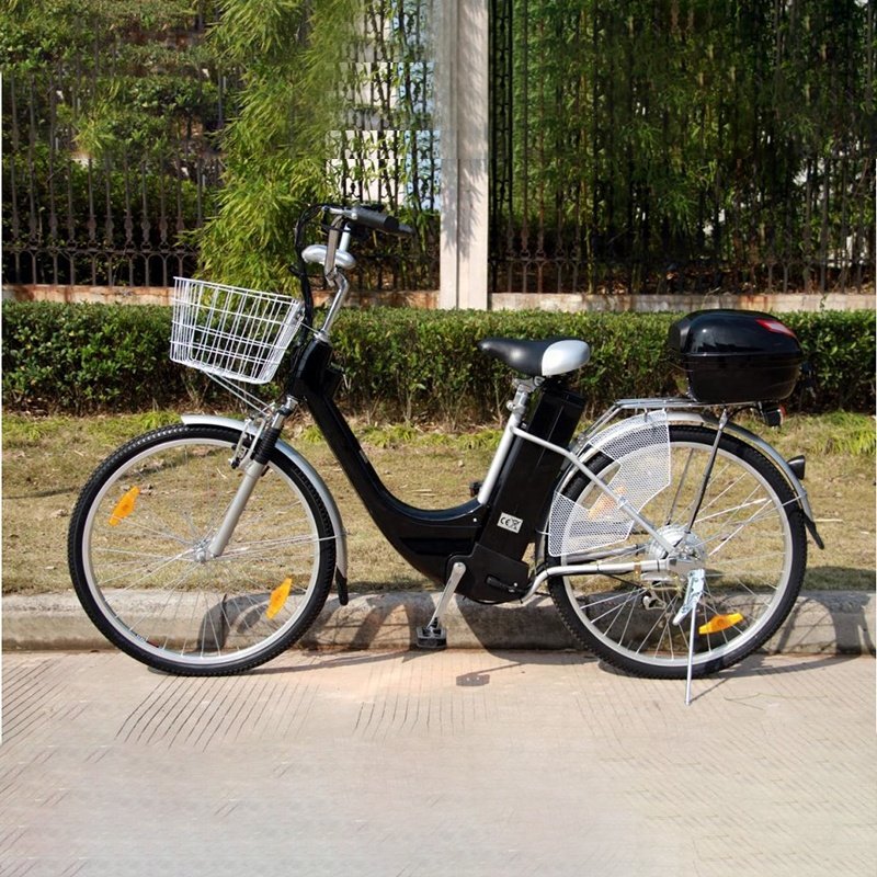 Raiderebikes Electric Bicycle 250w Electric Dirt City Bike for Adult E Bikes Electric Bicycle Electric Cargo Bike for Adult