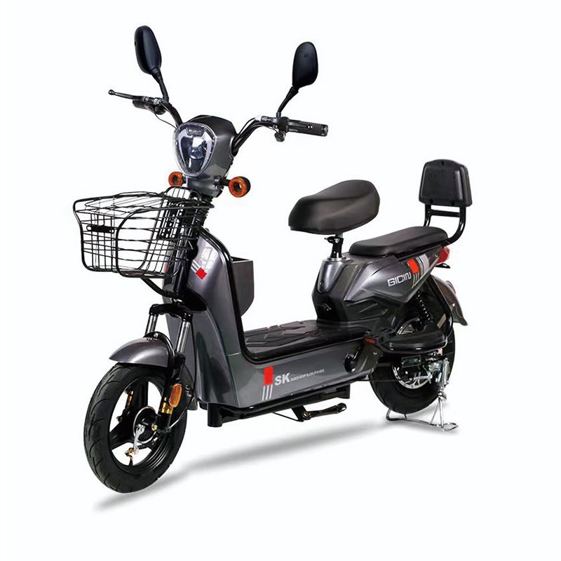 Hot Sale Multicolor Available Electric Scooter Three-Speed Transmission 350W 48V Adult Electric Motorcycle