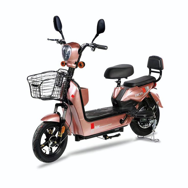 Hot Sale Multicolor Available Electric Scooter Three-Speed Transmission 350W 48V Adult Electric Motorcycle