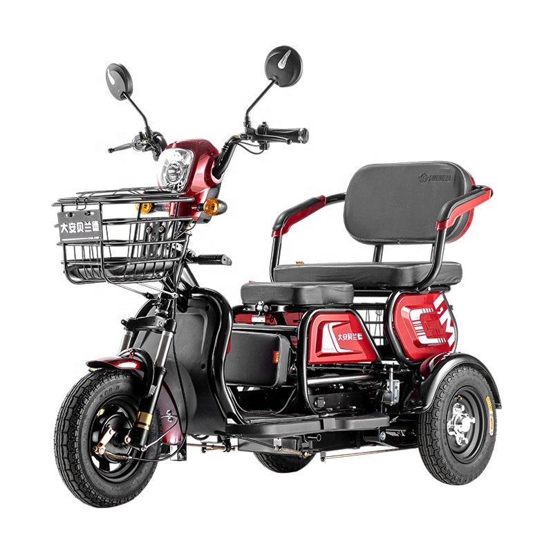 Factory Direct Sales Competitive Price Factory Supply 800W Electric Bikes 1000W Electric Tricycles 600W Motor for Adult