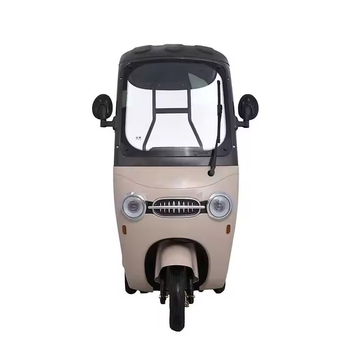 Electric Passenger Tricycle for Urban Transport, 500W 800w Motor