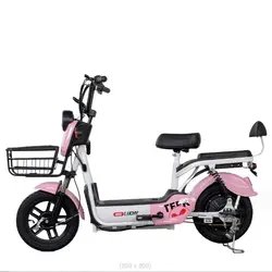 2023 Hot Sale China High Quality Low Price New Product 48V 350W Electric Bicycle for Adults
