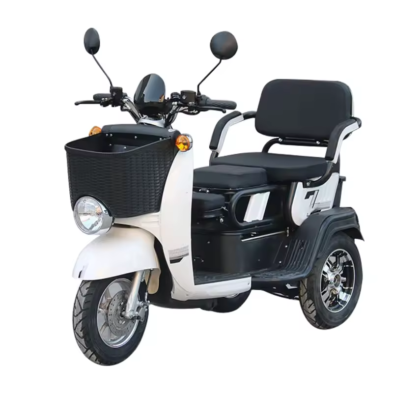 Electric Trike Adults Motor Fat Tire 3 Wheel Tricycle Bike Electro Three Wheels Adult Cargo Electric Bike
