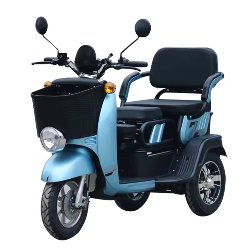 Electric Trike Adults Motor Fat Tire 3 Wheel Tricycle Bike Electro Three Wheels Adult Cargo Electric Bike