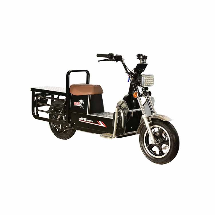 Advanced Heavy Cargo Electric Motorcycles 1.6KW 81.5Kg 12 Inch Wheel Hub Disc Brake High Speed 72V Lithium Challenging Terrains