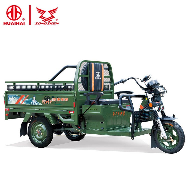 Factory Direct Sale 1000W Electro-tricycle Three Wheel Electric Transport Vehicle Moto Tricycles 3 Roues Cargo