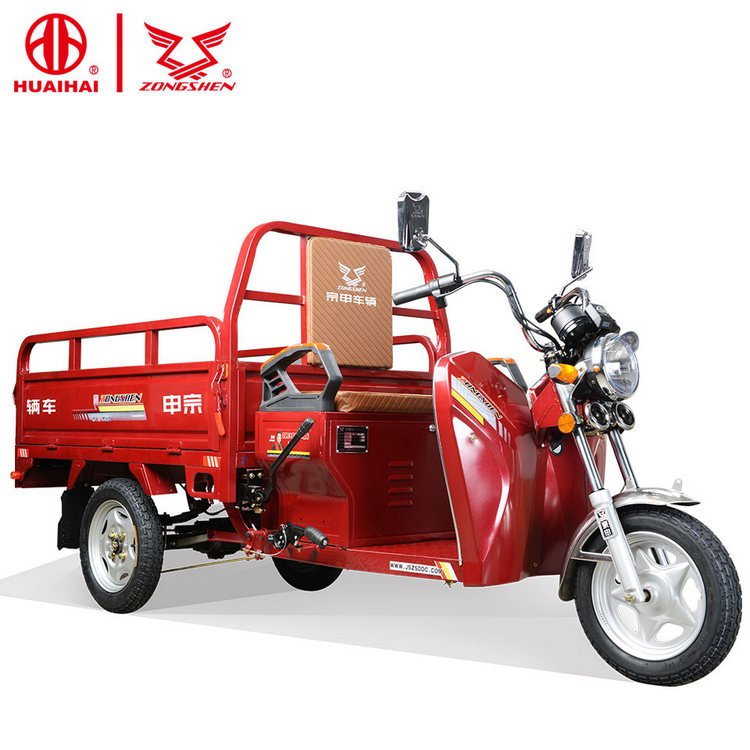 Factory Direct Sale 1000W Electro-tricycle Three Wheel Electric Transport Vehicle Moto Tricycles 3 Roues Cargo