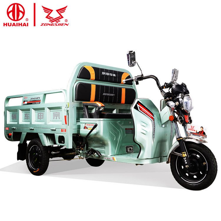 Factory Direct Sale 1000W Electro-tricycle Three Wheel Electric Transport Vehicle Moto Tricycles 3 Roues Cargo