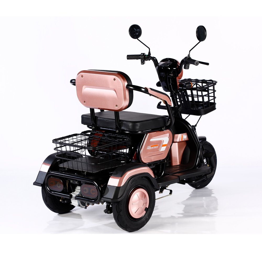 High Quality 600W 48V 3 Wheel Electric Tricycle Motorcycle Family Cargo E Bike 3 Wheel Electric Bicycle