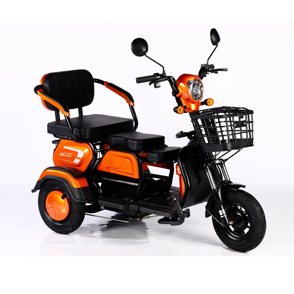 High Quality 600W 48V 3 Wheel Electric Tricycle Motorcycle Family Cargo E Bike 3 Wheel Electric Bicycle