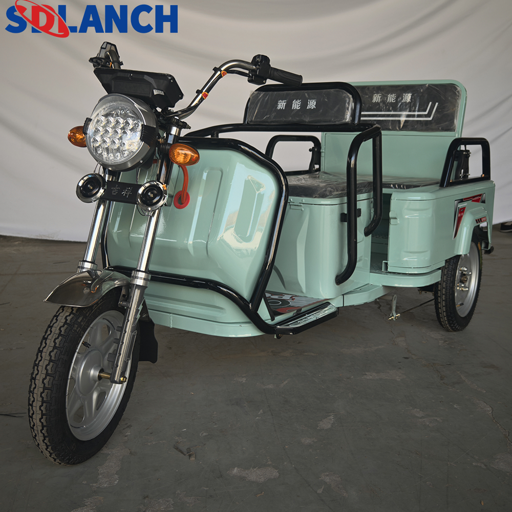 New Design Electric Trike Fat Tire 3 Wheel Electric Tricycle Three Wheels Adult Cargo Electric Bike