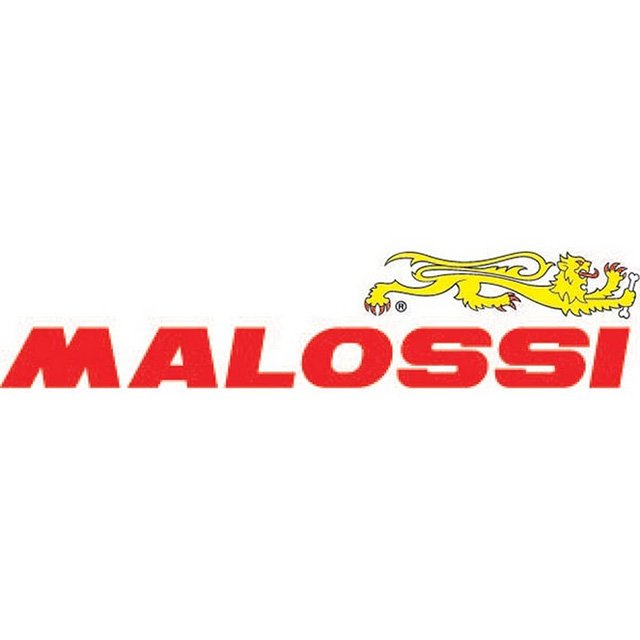 Malossi 6215899 Brake Power Brake Shoes for Bsv Dio Zx 1994 50 Cc Honda Dio Zx 2T 1994 50 Cc Motorcycle Made in Italy
