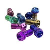 M10x1.25 Titanium Banjo Bolts Motorbike ISO/DIN Standard Hex Head Bolts 16mm Length CNC Gr5 Titanium Brake Caliper Screw