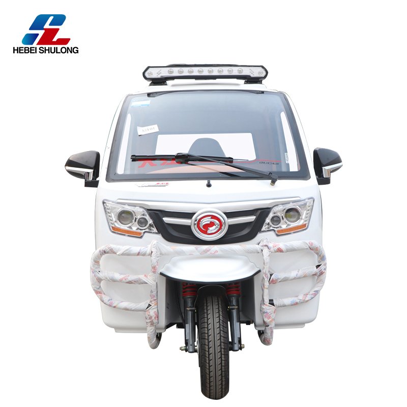 Factory Fuel Three Wheels Enclosed Cargo Motorized Tricycles