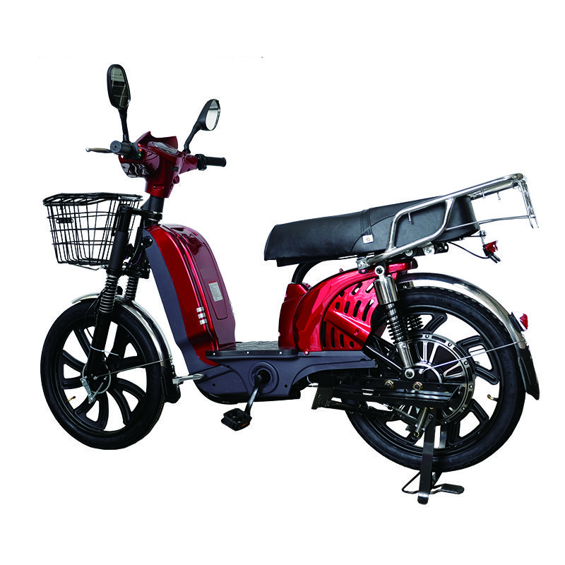 Milg Ce 350w 450w 12Ah Remove Battery 48v Long Range Electric Bike Motorcycles Battery Electrical Bicycles Bicicleta Eletrica