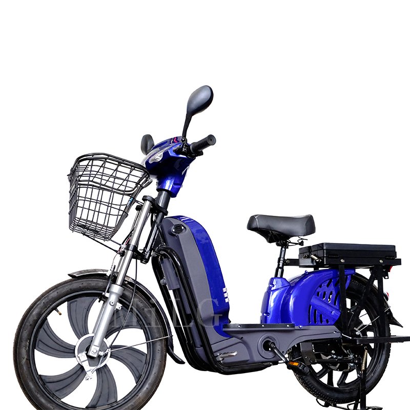Milg Ce 350w 450w 12Ah Remove Battery 48v Long Range Electric Bike Motorcycles Battery Electrical Bicycles Bicicleta Eletrica