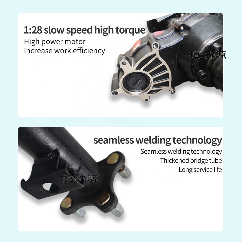 Customized 800 1000 1200w Dc Brushless Low Speed Electric Motor Brake Rear Axle Gear Reducer Differential Electric Tricycle