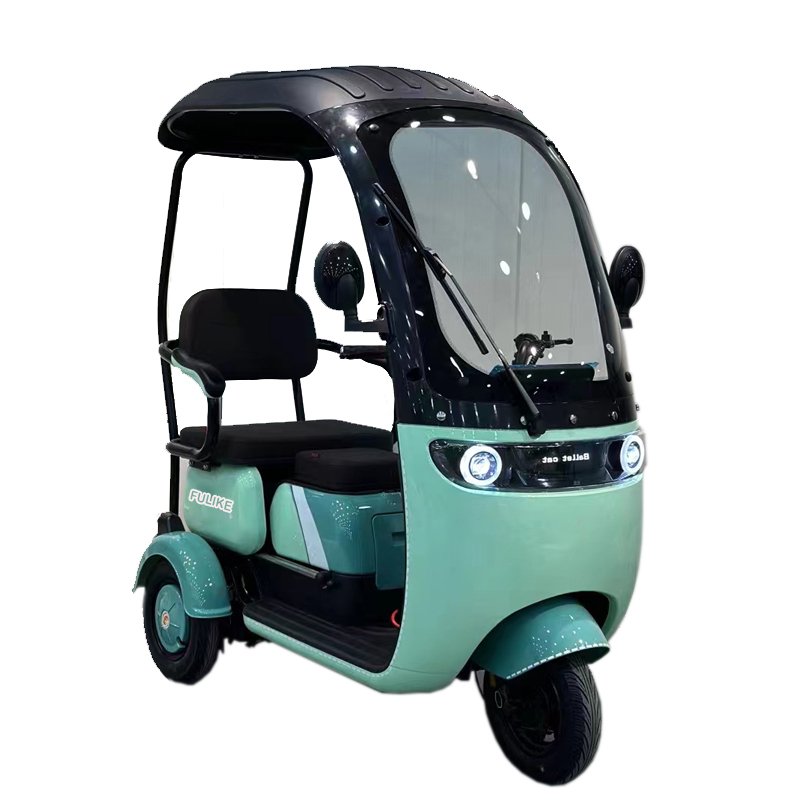 2024 New Fashionable 650W Differential Brushless Motor Powerful Electric Passenger Tricycle Three Wheels for Adults