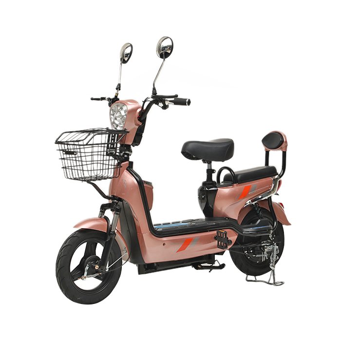 Wholesale Price City Sports Pedal E-bike 48V Electric Adult Electric Motorcycle Fat Tire Electric Bike for Sale Electric Bike