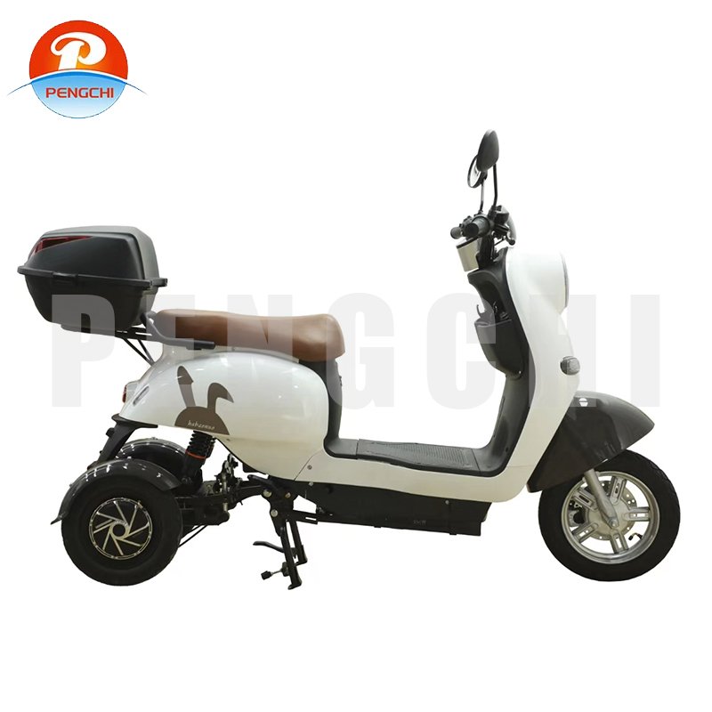 Factory Direct Sales of Electric Multifunctional Bicycles Three Wheel Drive Three Wheel Electric Bike 48V 20A Electric Bicycles